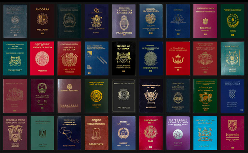 couleur passeport aviasim low