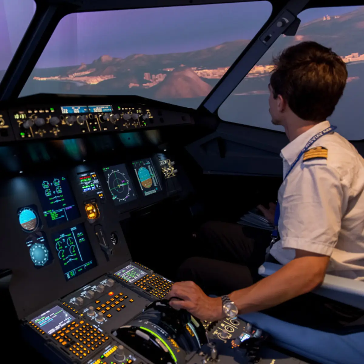 Simulateur de vol AviaSim